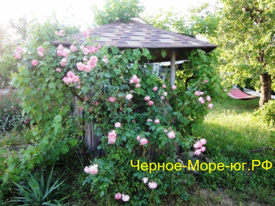 Керчь частный сектор по ул. Генерала Косоногова в мкр. Героевское