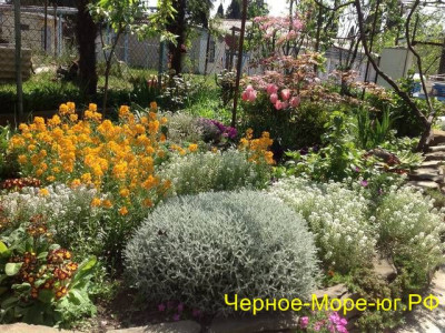 Гостевой дом в Макопсе по ул. Свободы, 26 Гостевой дом в Макопсе по ул. Свободы, 26