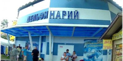 Дельфинарий поселка Кабардинка – заряд хорошего настроения, описание, как проехать, адрес, фотографии, цена билета. Дельфинарий поселка Кабардинка – заряд хорошего настроения, описание, как проехать, адрес, фотографии, цена билета.