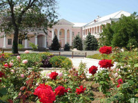 Саки